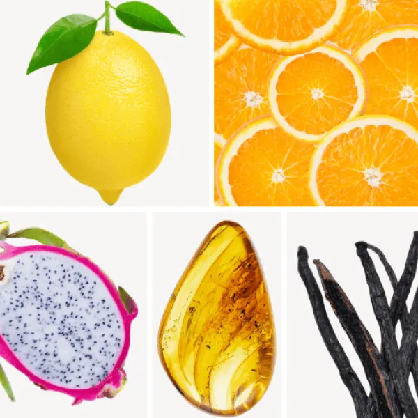 Duftnoten: Zitrone, Orange, fruchtige Noten, Ambra, Vanille Duftnoten: Zitrone, Orange, fruchtige Noten, Ambra, Vanille